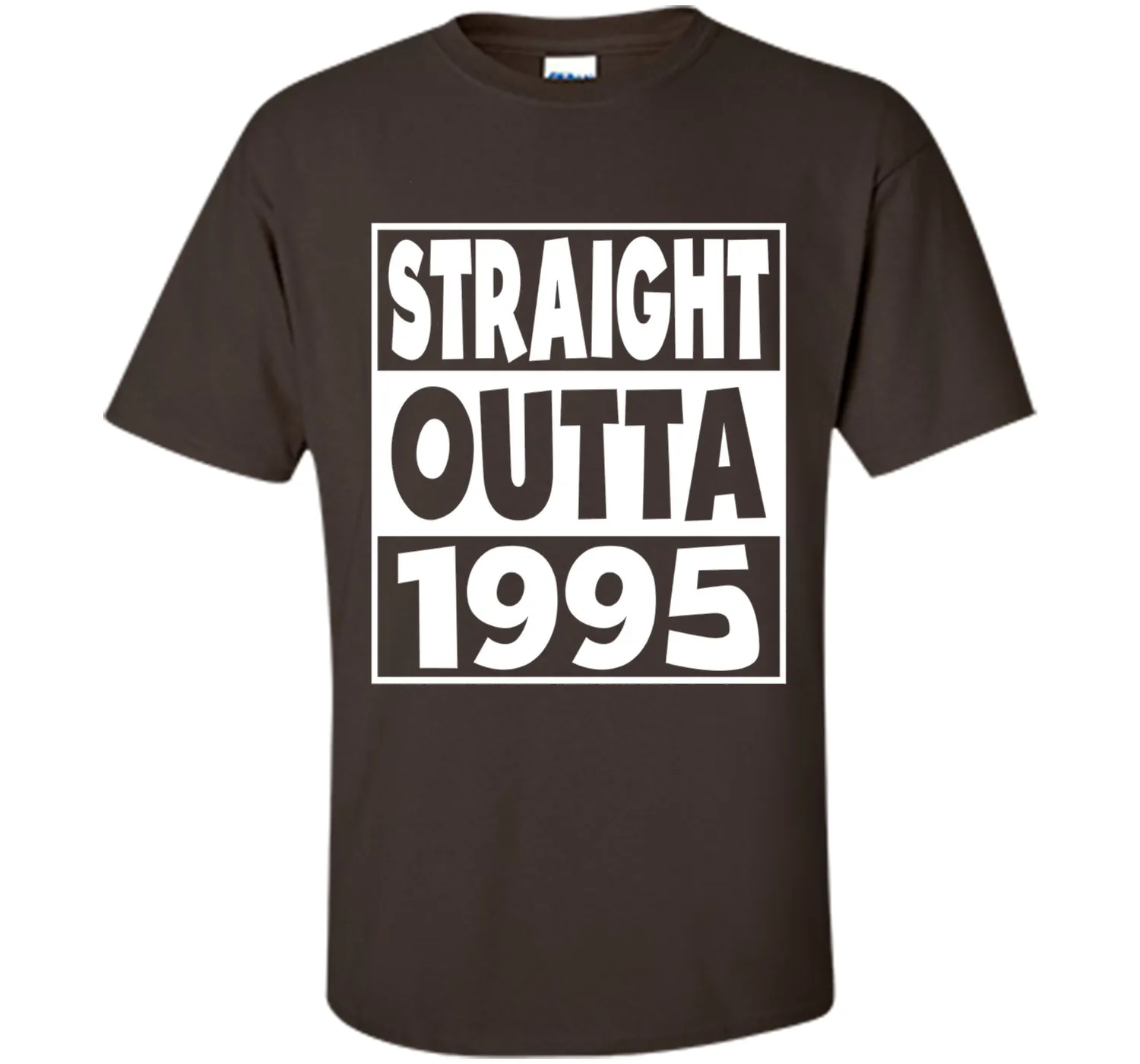 22nd Birthday Gift T-Shirt Straight Outta 1995