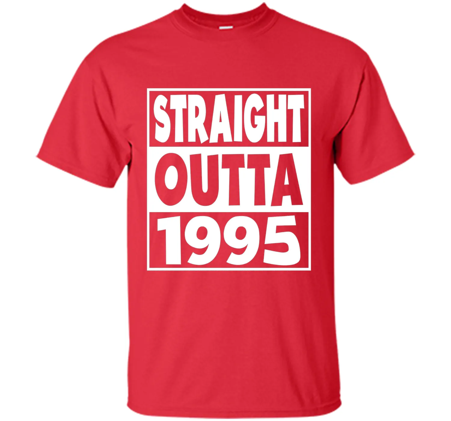 22nd Birthday Gift T-Shirt Straight Outta 1995