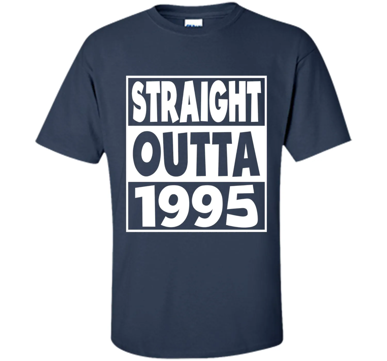 22nd Birthday Gift T-Shirt Straight Outta 1995