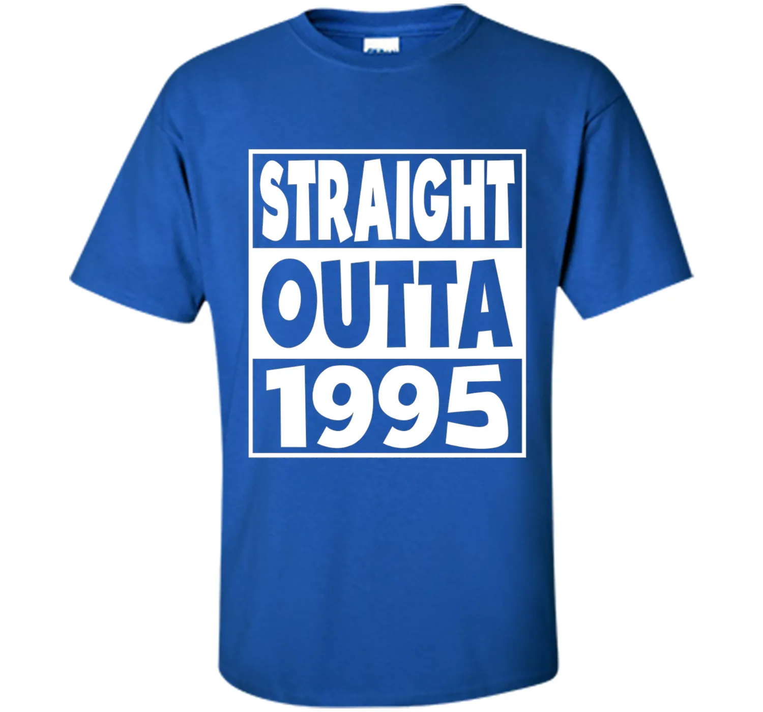 22nd Birthday Gift T-Shirt Straight Outta 1995