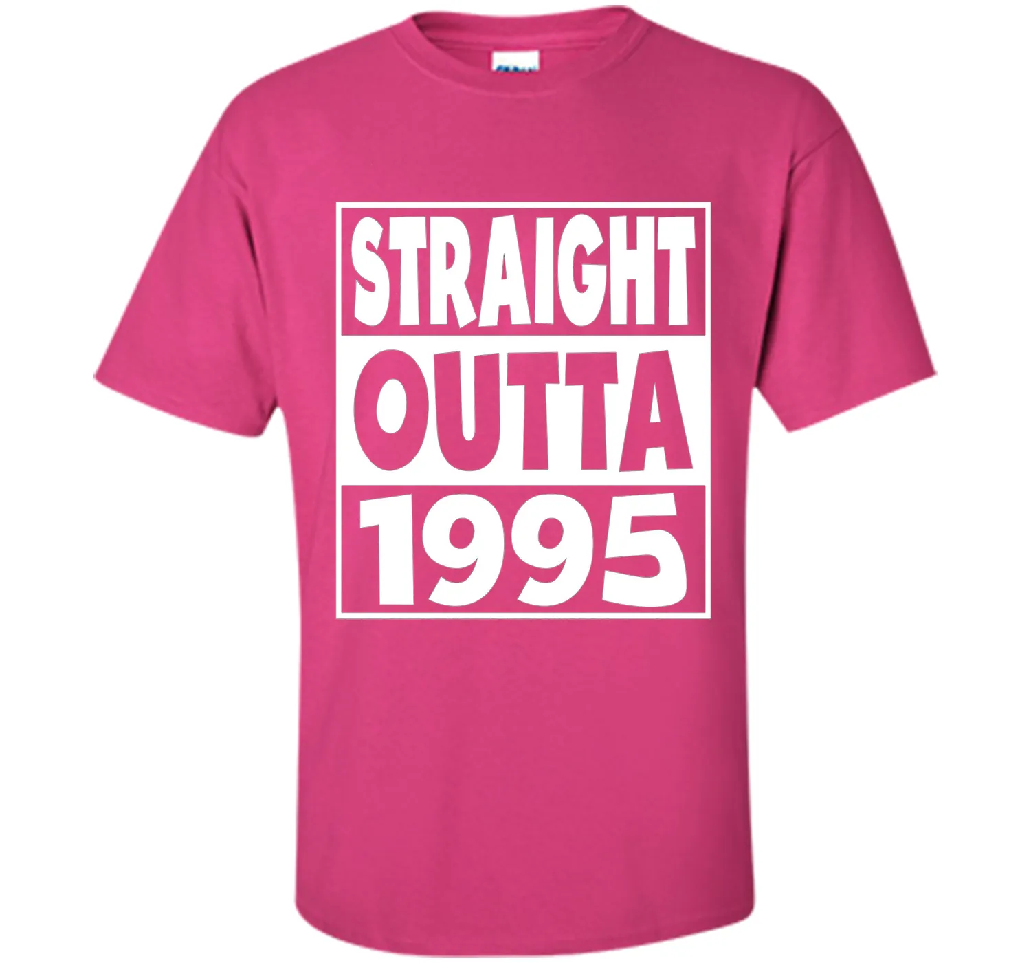 22nd Birthday Gift T-Shirt Straight Outta 1995