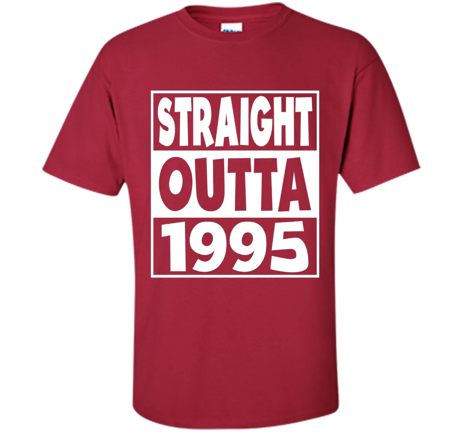 22nd Birthday Gift T-Shirt Straight Outta 1995