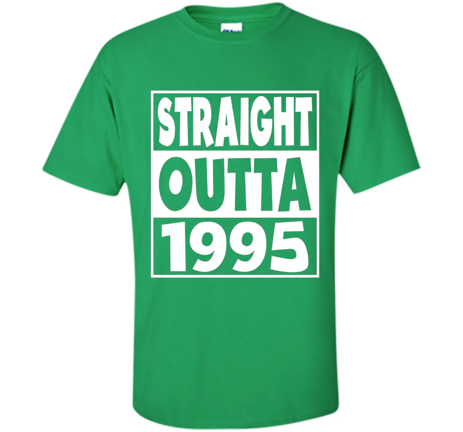 22nd Birthday Gift T-Shirt Straight Outta 1995