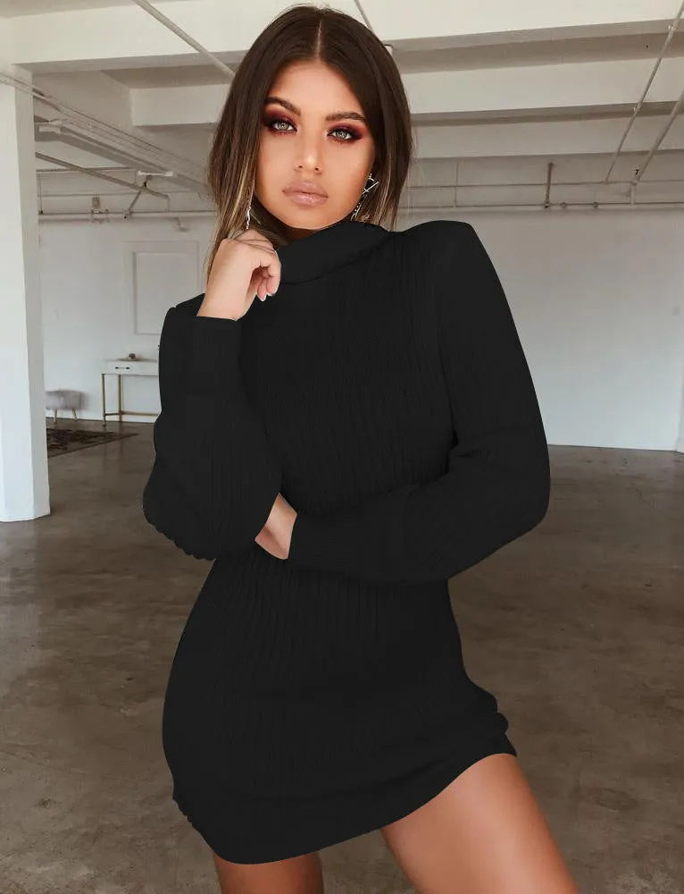 Turtleneck Long Bishop Sleeves Women Pullover Oversized Sweater Dress